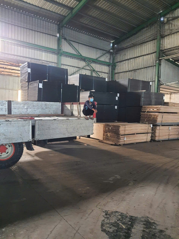 Hình ảnh đóng hàng và vận chuyển Sáng Tạo Việt